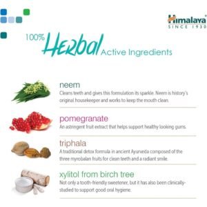 himalaya botanique toothpaste – fluoride/sls/gluten/carrageenan free, fights plaque & bad breath, protects gums 150g