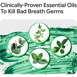 listerine antiseptic mouthwash, fresh burst, 500 ml listerine